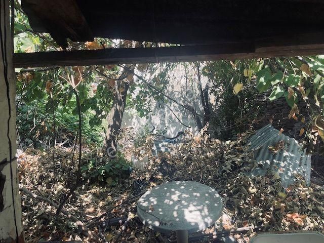 802- Beyler Köyünde Bahçesinde Kuyu Olan Köy Evi - Görsel 6