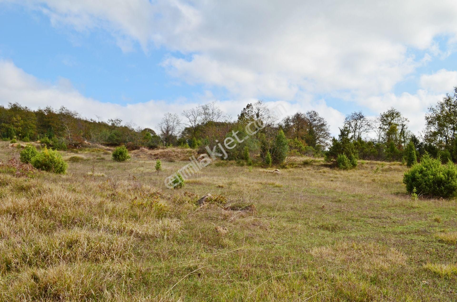 Gebze Duraklı Satılık Tarla Gebze Duraklı 'da Satılık 5100m² Arsa