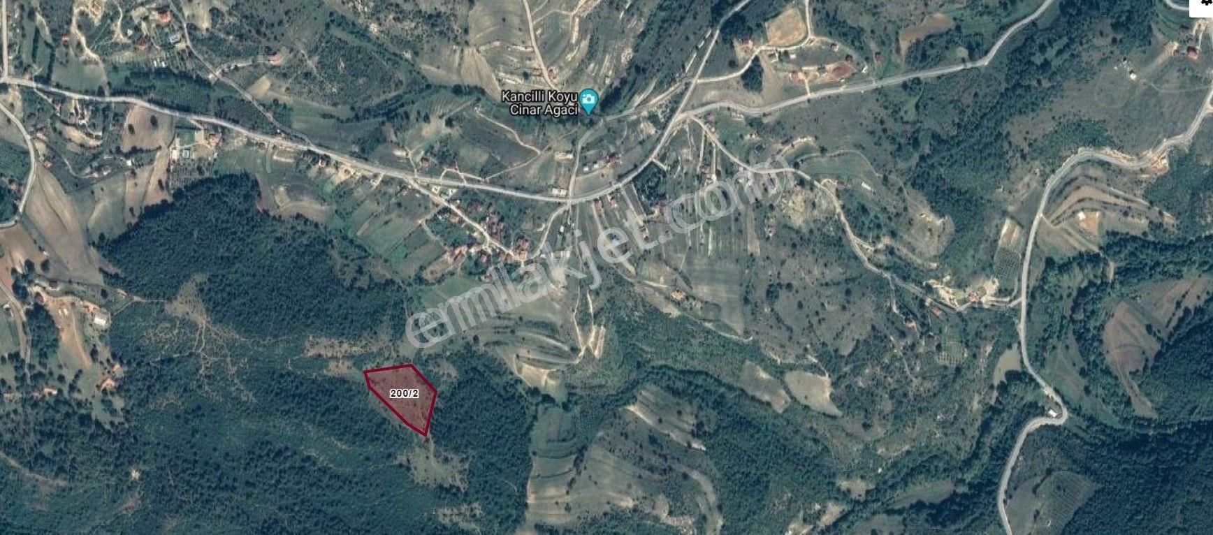 Gebze Duraklı Satılık Tarla Kocaeli Gebze Duraklı Köyünde 10.000 M2 Konut Arsası