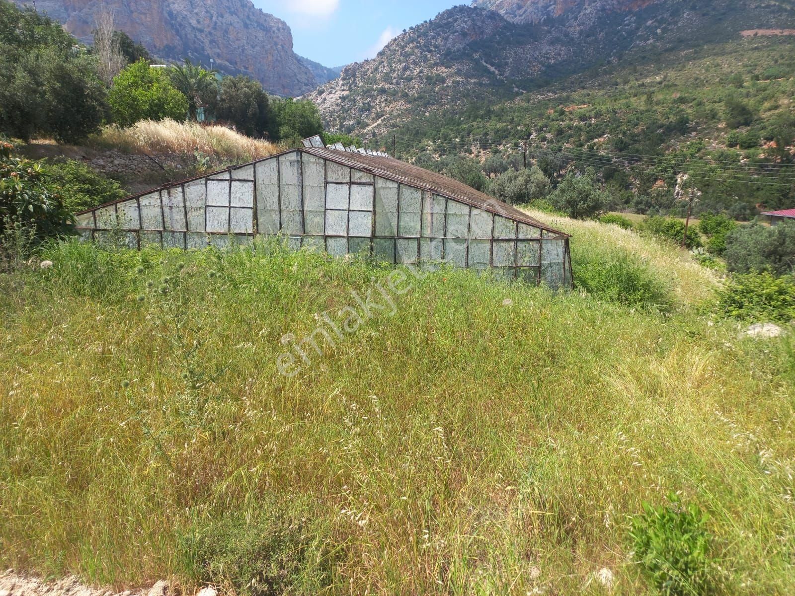 Aydıncık Emlaktan Satılık Tarla Ve Sera - Görsel 10