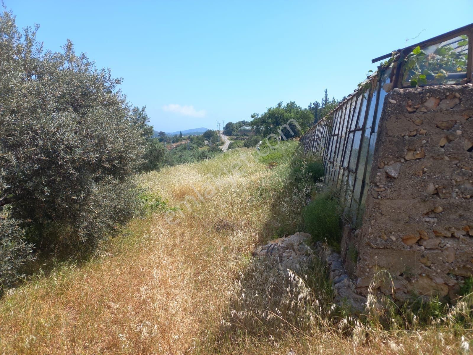Aydıncık Emlaktan Satılık Tarla Ve Sera - Görsel 5