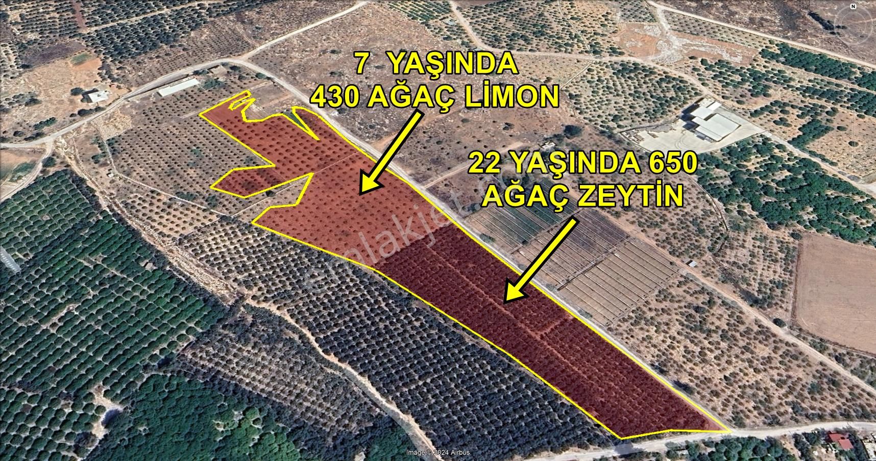 Silifke Burunucu Satılık Tarla Mersin Silifke'de Burunucu Satlık 23.600.00 Mt Tarla