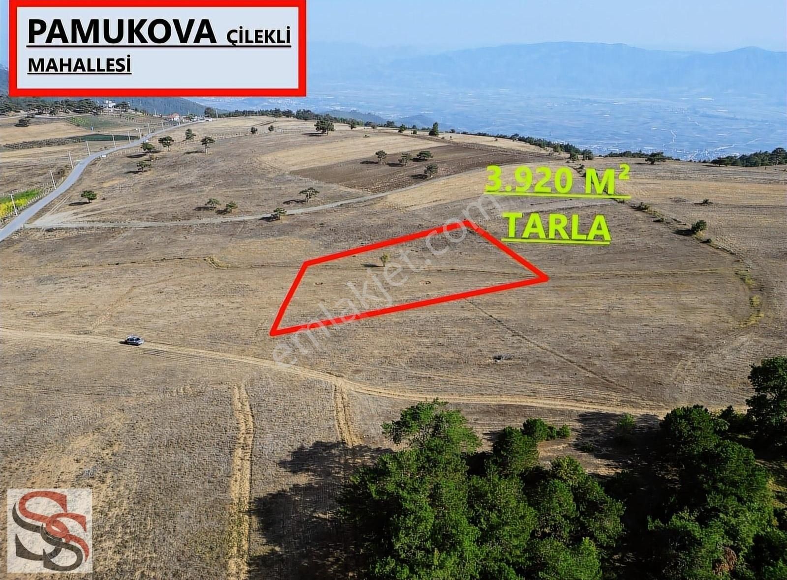 Pamukova Çilekli Satılık Tarla PAMUKOVA ÇİLEKLİ MAHALLESİ MUHTEŞEM KONUMDA 3.920 M² TARLA