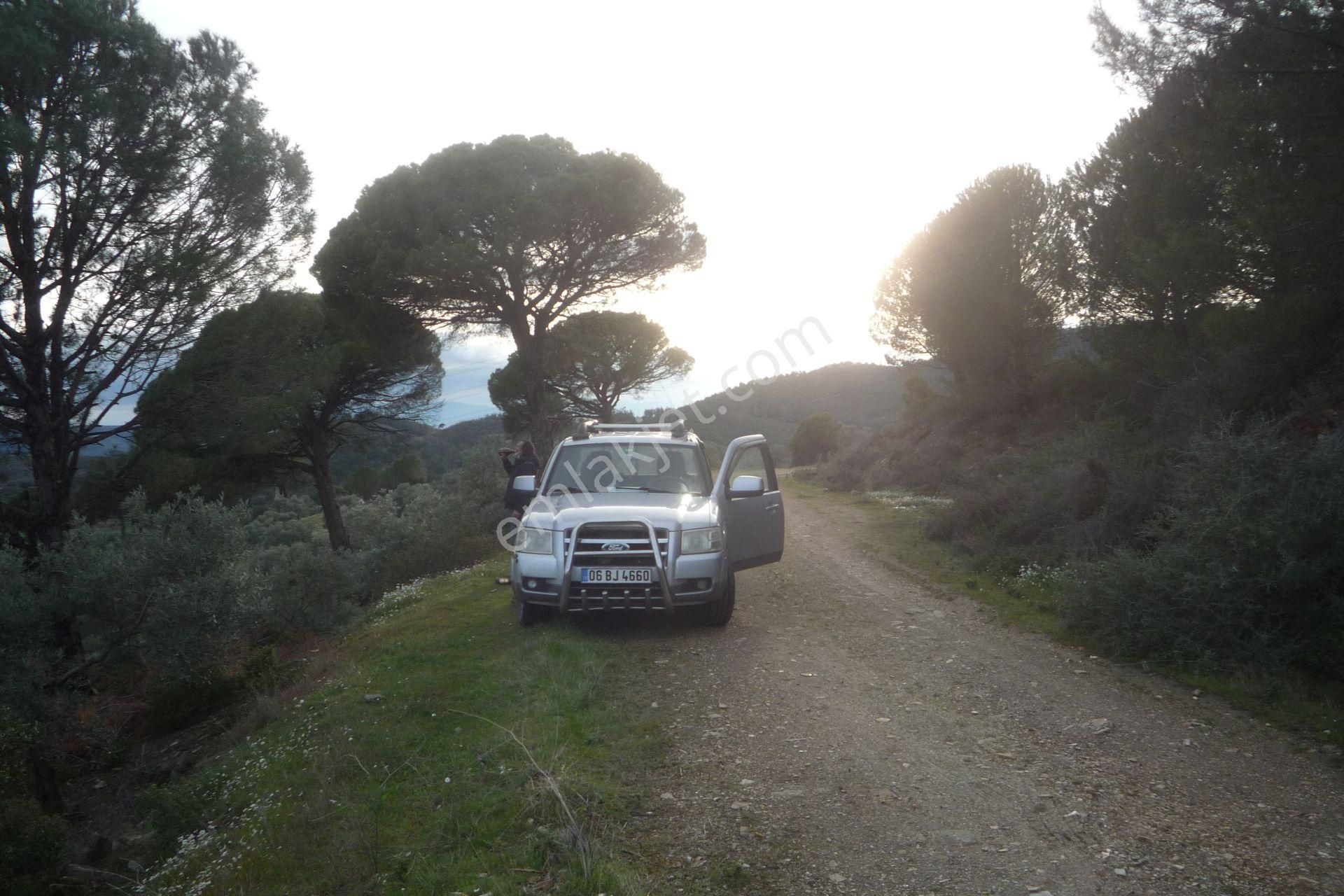 İzmir Torbalı Gold Emlakta Satılık Zeytin Bahçesi - Görsel 6