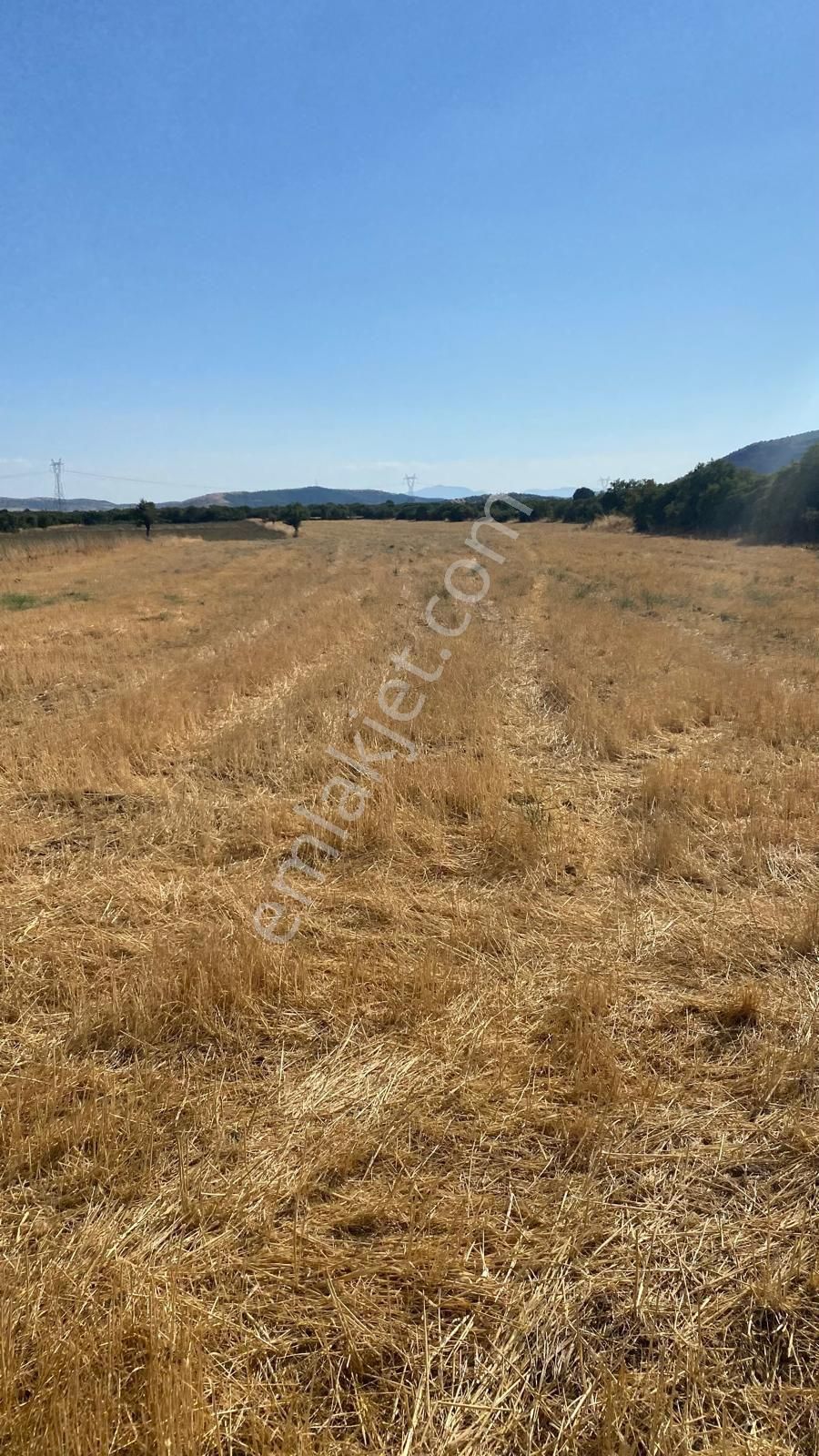 Köprübaşı Arpacı Satılık Tarla ManisaKÖPRÜBAŞI S A 