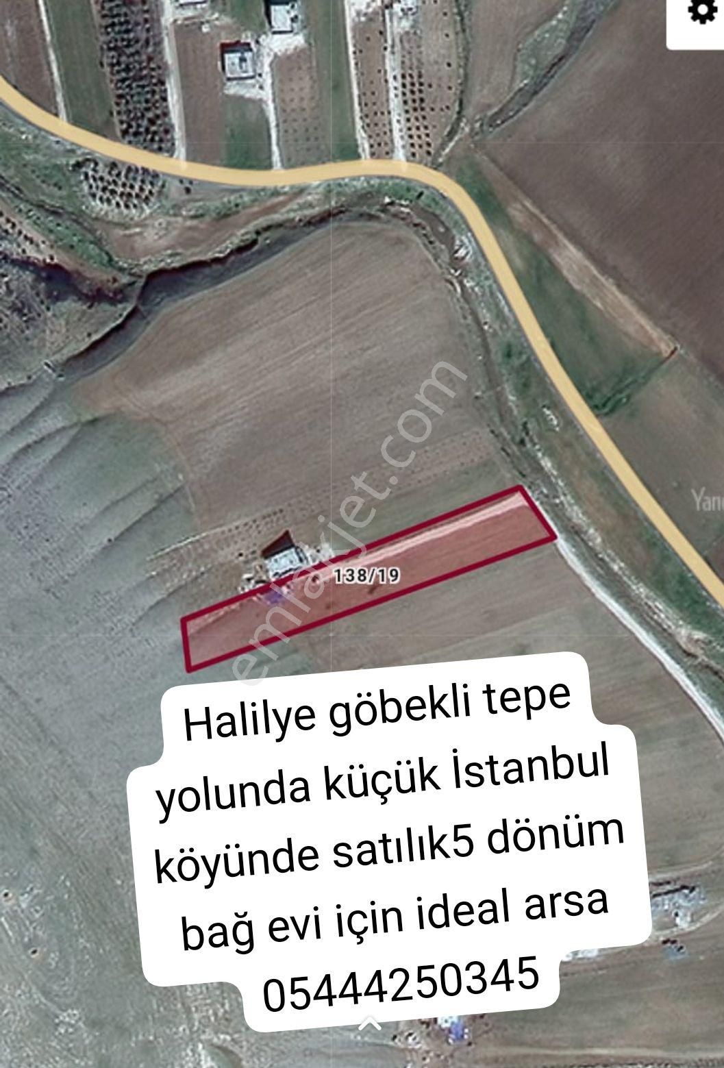 Haliliye Örencik Satılık Tarla violet gayrimenkul 