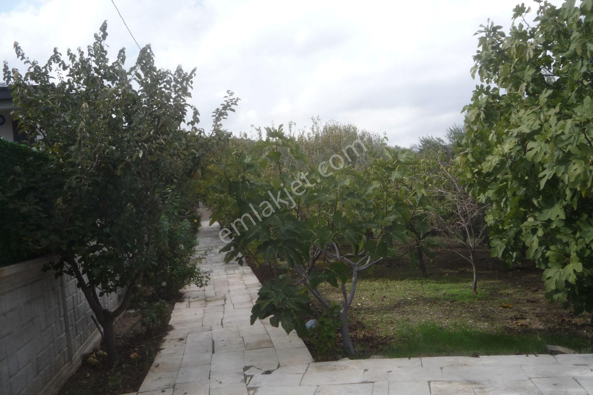 İzmir Torbalı Gold Emlaktan Satılık Harika Bahçeli Ev