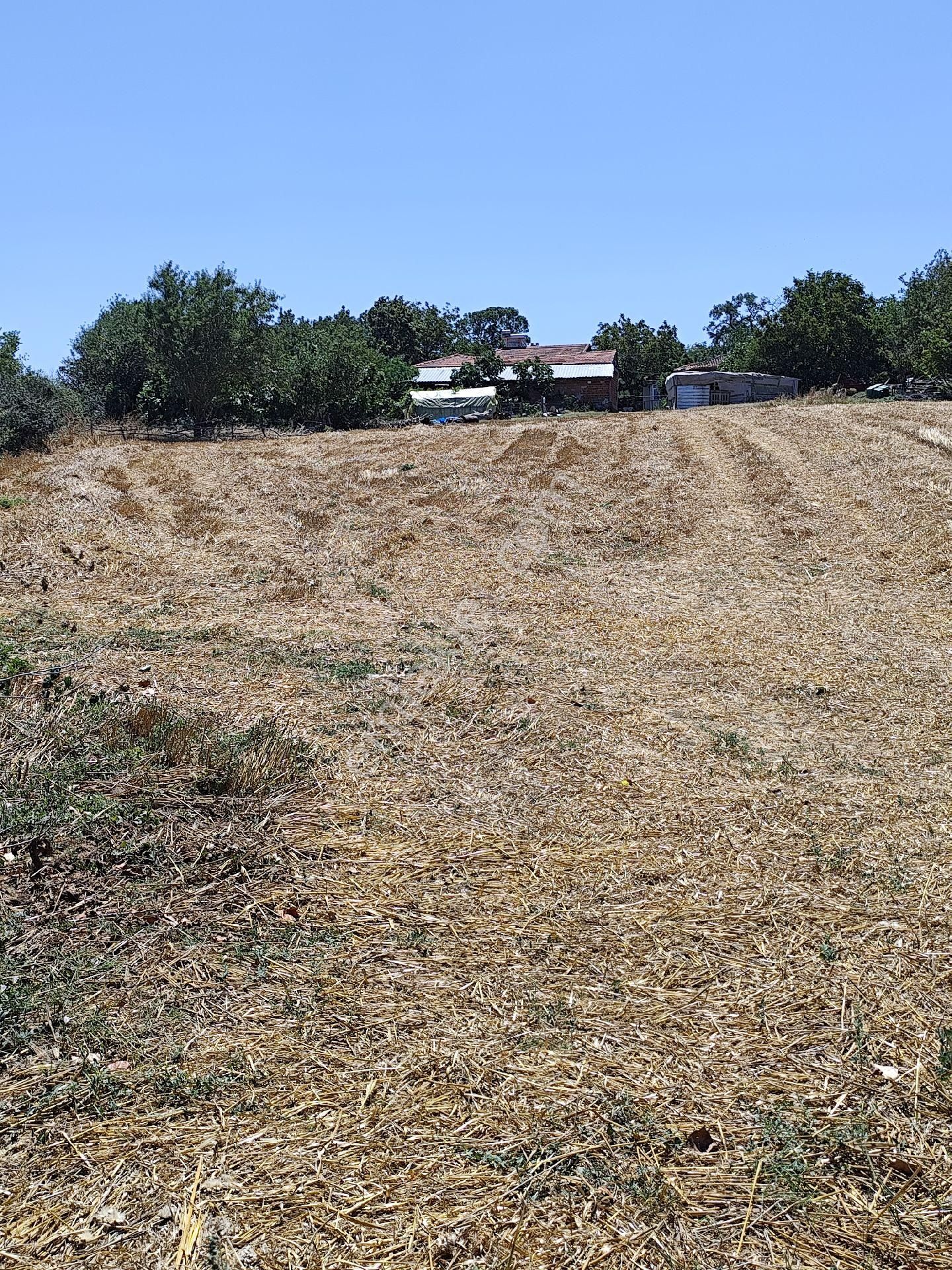 Malkara Yörük Satılık Konut İmarlı Tekirdağ Malkara yörük 1939 metre arsa 