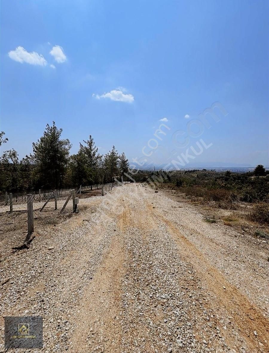 Torbalı Demirci Satılık Tarla LİVA'DAN ARAÇ TAKASLI TORBALI DEMİRCİDE SATILIK ARSA