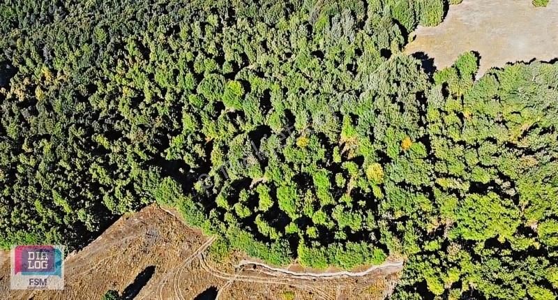 Hamitabat Mah. İnegöl Manzaralı 4.430 M2 Yatırımlık Arazi