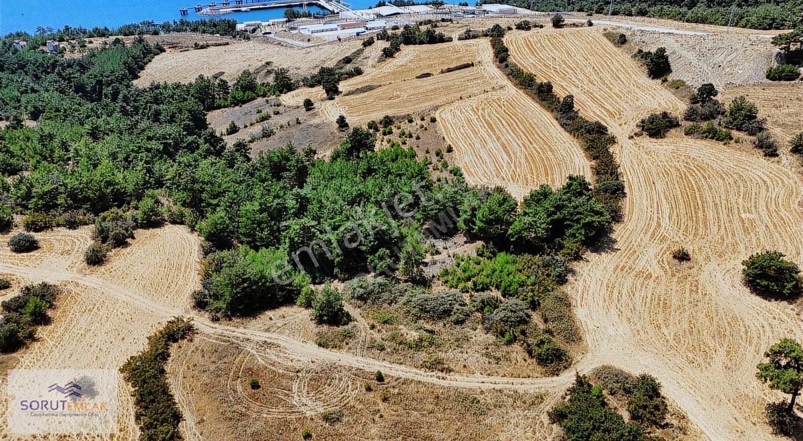 Keşan Sazlıdere Köyü (Merkez Mevki) Satılık Tarla SAZLIDERE SAHİL LİMAN YOLUNDA SATILIK 6.400 M2 TARLA