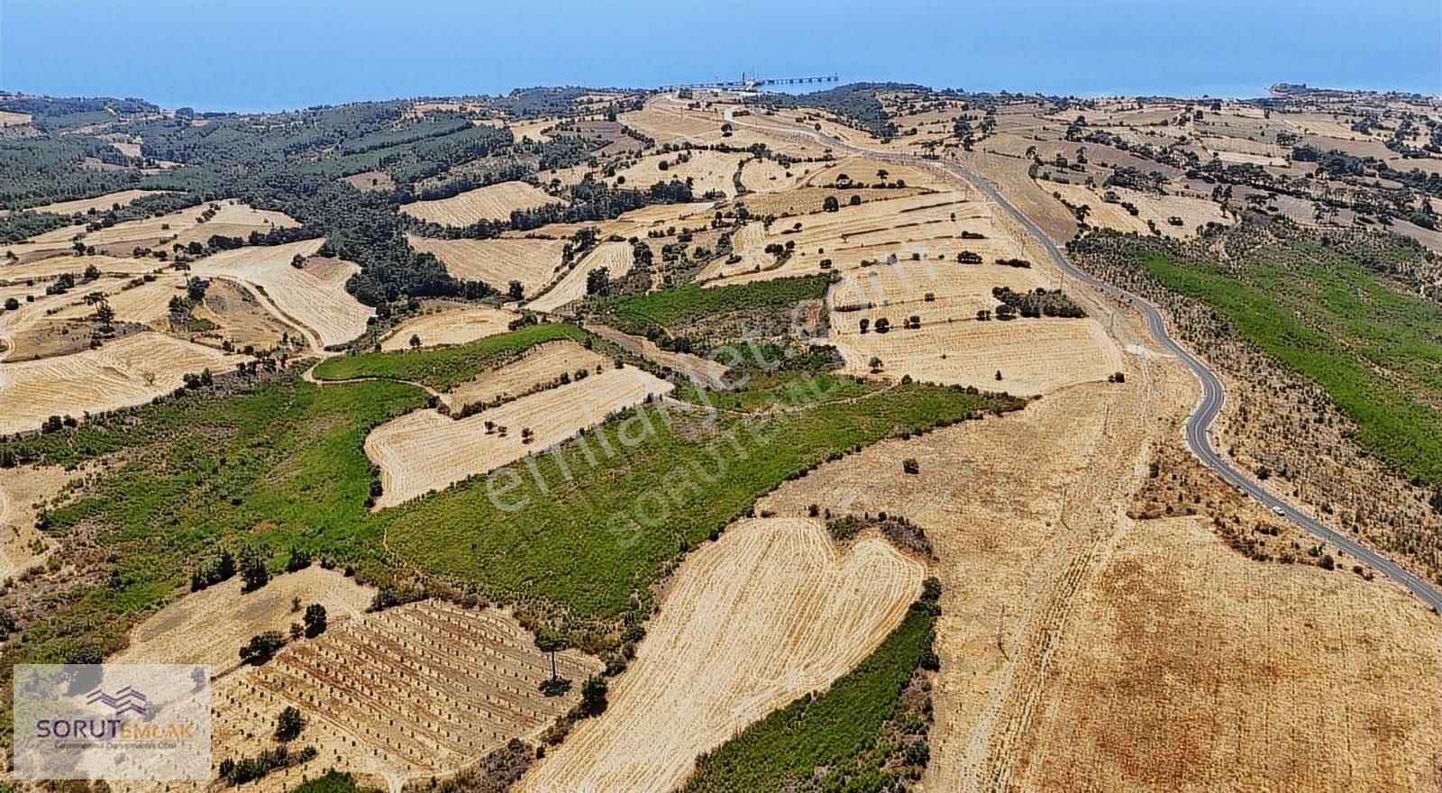 Keşan Sazlıdere Köyü (Merkez) Satılık Tarla Sazlıdere Satılık 10.000 M2 Tarla