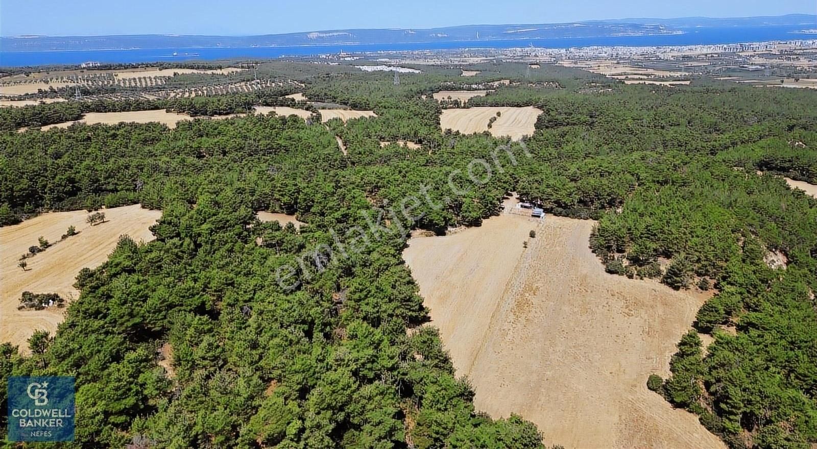 Çanakkale Merkez Çınarlı Köyü Satılık Tarla ÇANAKKALE MERKEZ ÇINARLI'DA SATILIK TARLA