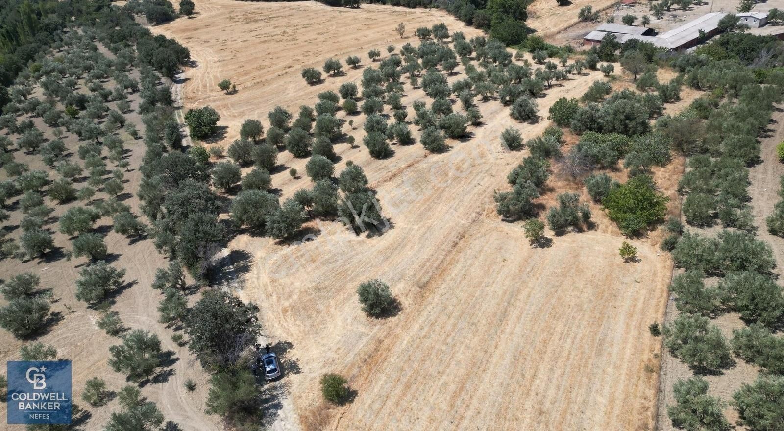 Çanakkale Merkez Erenköy Köyü (Merkez) Satılık Tarla ÇANAKKALE İNTEPE KÖYÜNDE SATILIK TARLA