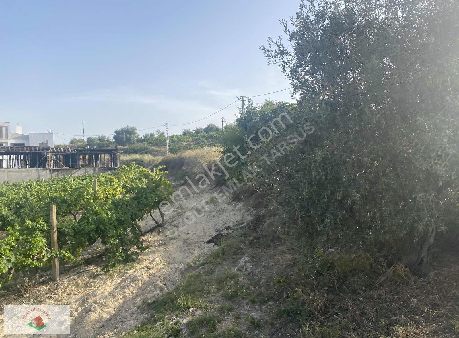Şehir Merkezine 5 Dak Satılık Villalık Arsa - Görsel 9