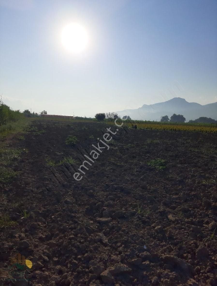 Osmaneli Ciciler Köyü Satılık Tarla ciciler mahallesinde 2952 m2 Satılık tarla nitelikli arazi.