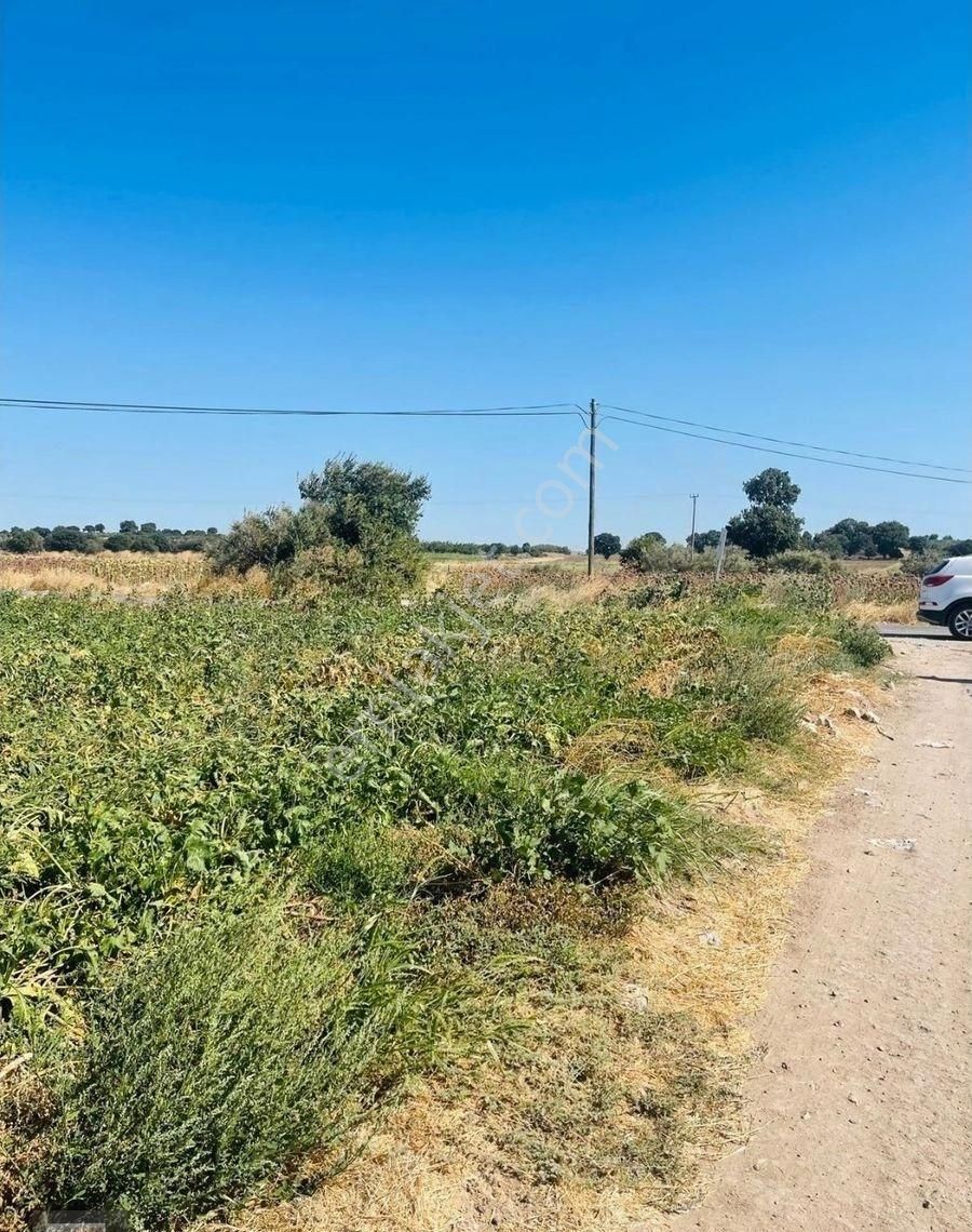 Çanakkale Merkez Tevfikiye Köyünde Acill Satılık 14700 M2 Arazi - Görsel 8