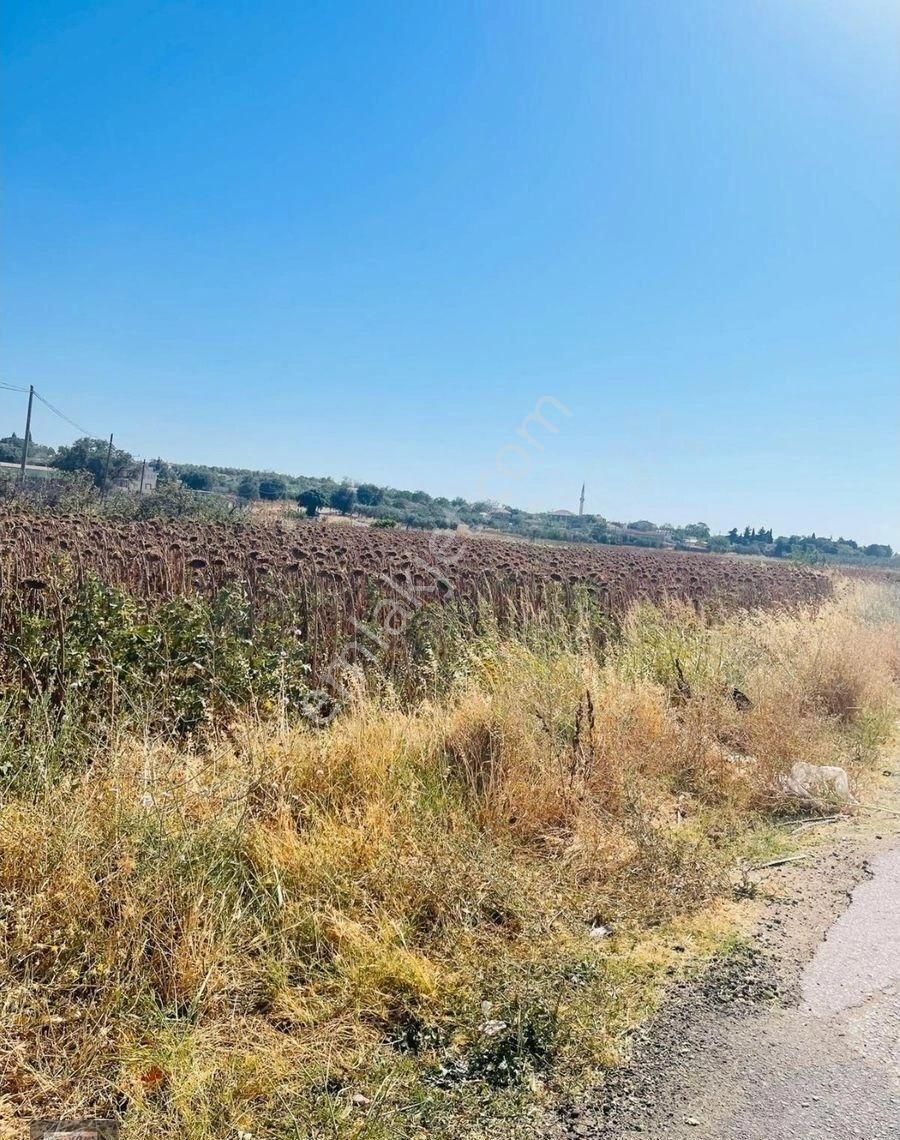 Çanakkale Merkez Tevfikiye Köyünde Acill Satılık 14700 M2 Arazi - Görsel 5