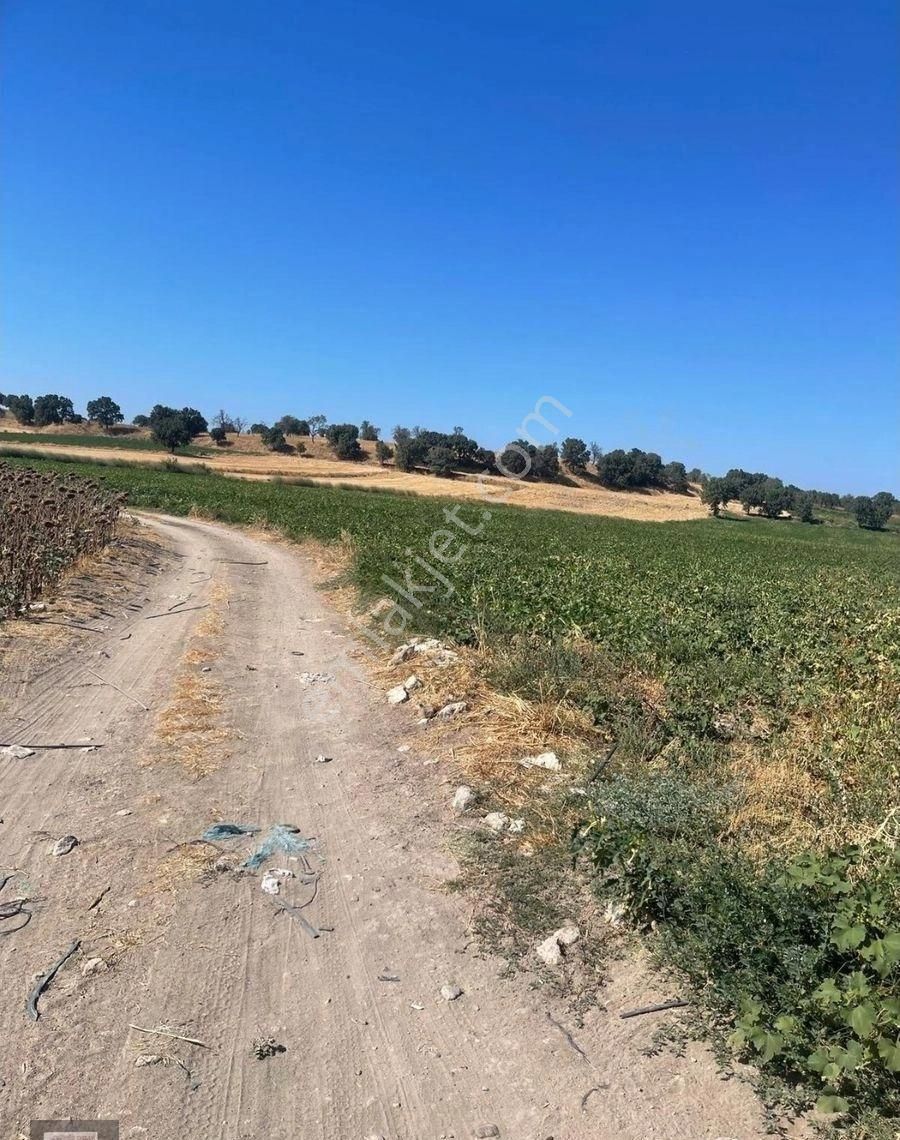 Çanakkale Merkez Tevfikiye Köyünde Acill Satılık 14700 M2 Arazi - Görsel 11
