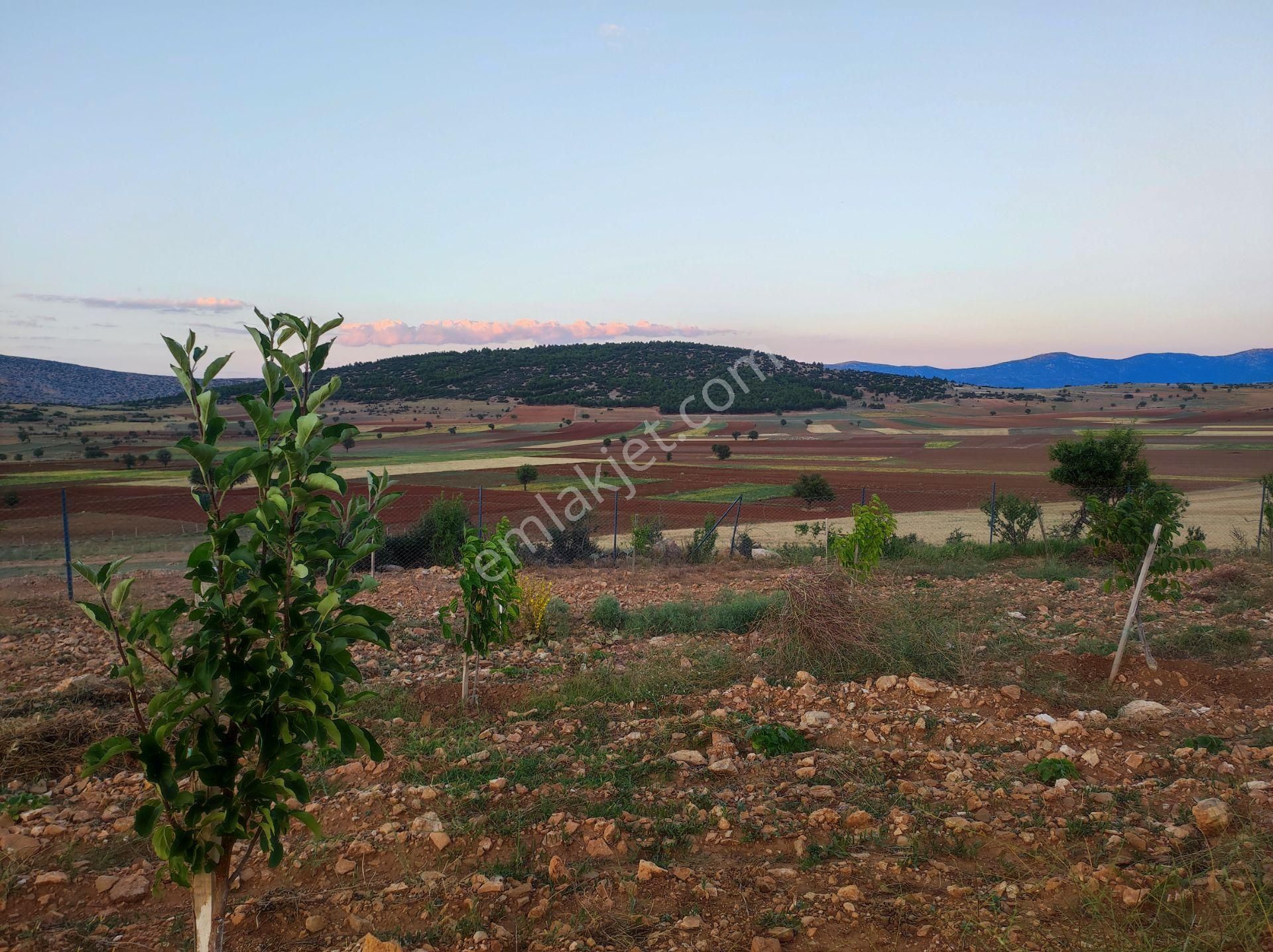 Korkuteli Büyükköy Satılık Bağ & Bahçe HAVADAR ANTALYA YARIM SAAT KORKUTELI 15 DAKIKA