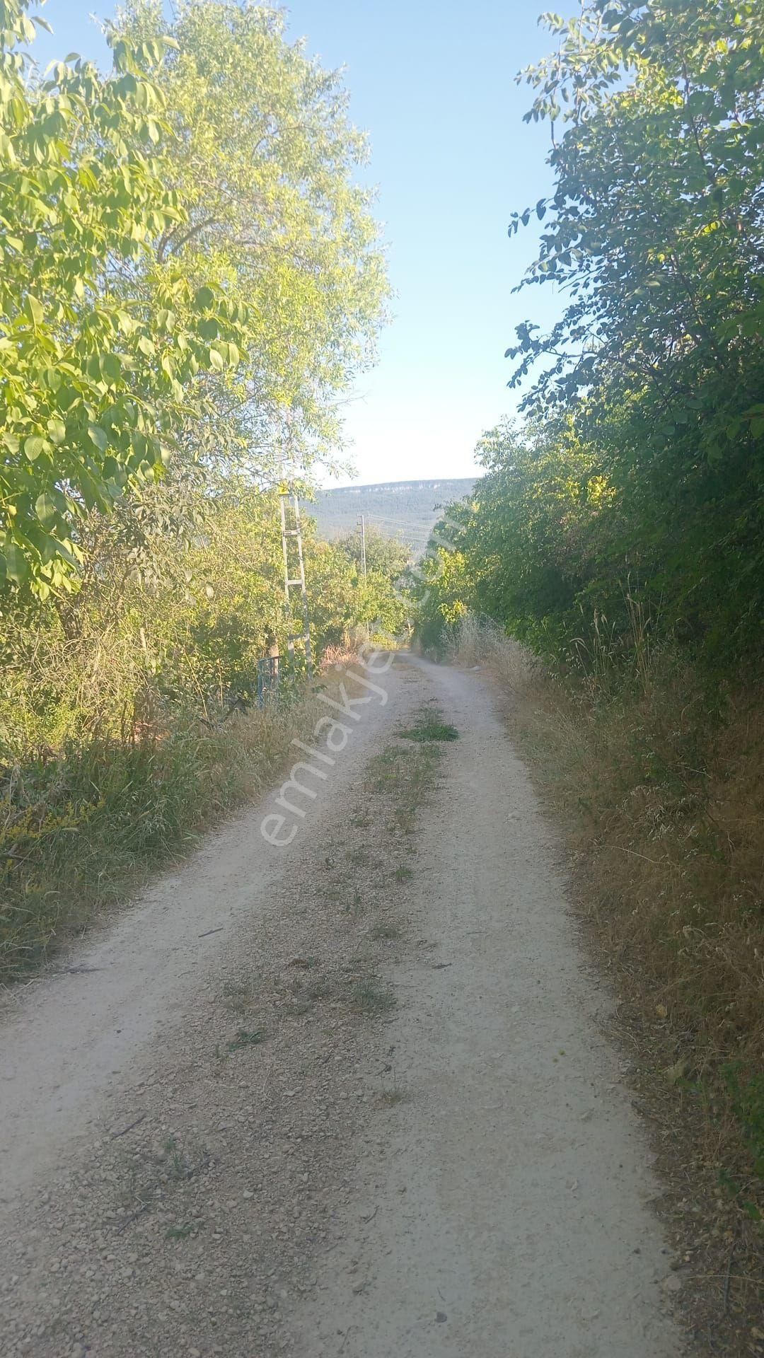 Safranbolu Yazıköy Köyü (Aşağı) Satılık Tarla Yazıköy Köyiçi Mevkinde 1700m2 Satılık Arsa