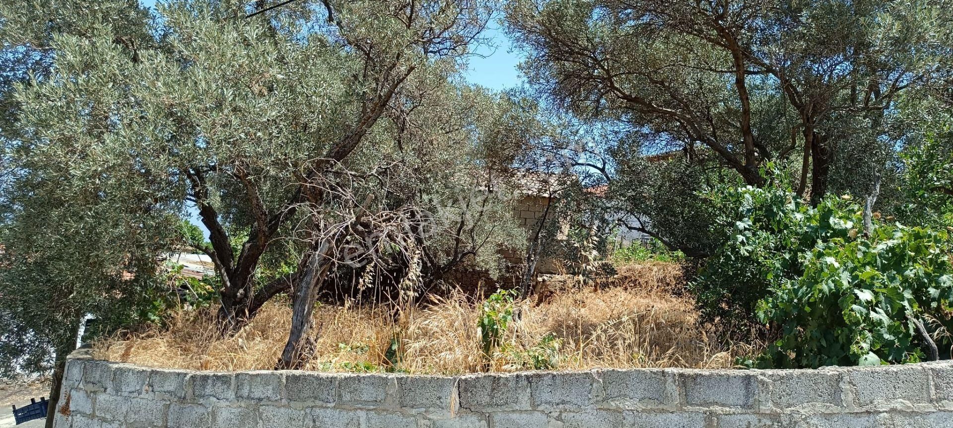 Manzaralı Nefes Kesen Panaromik Manzaralı Müstakil Ev - Görsel 4