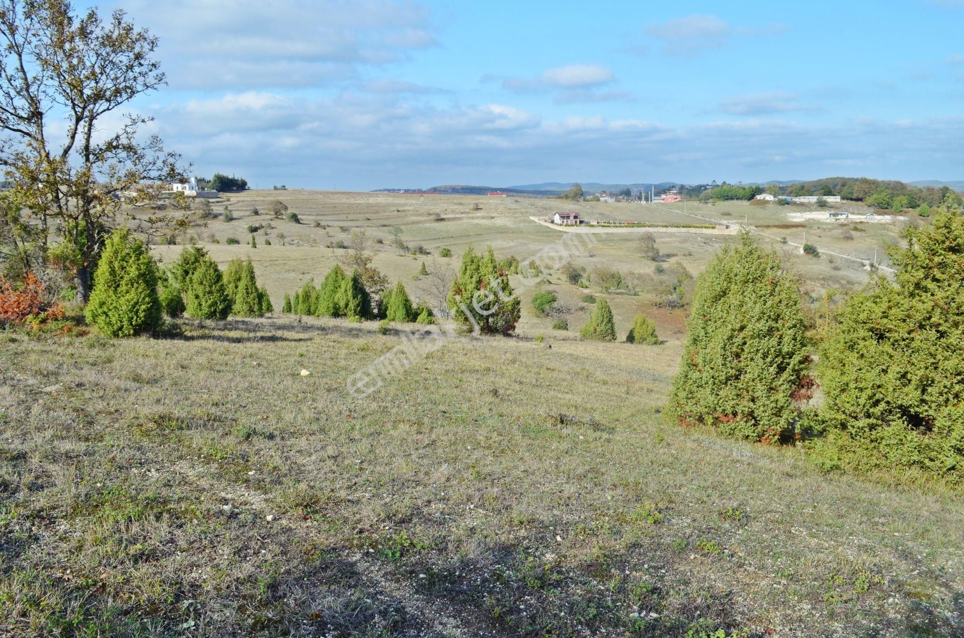 Gebze Duraklı Satılık Tarla Kocaeli Gebze Duraklı Da Orman Yolu Olan 3500 M2 Satılık Arsa