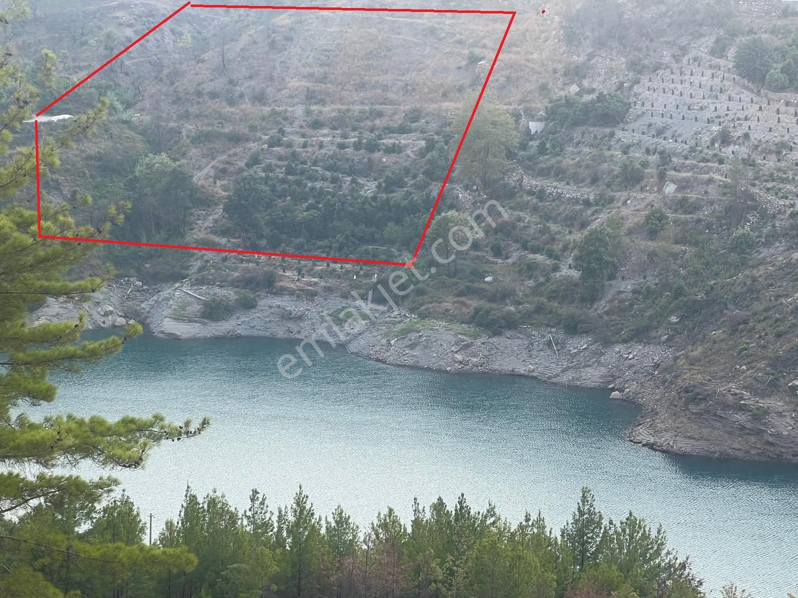 Alanya Üzümlü Satılık Tarla 5640 M2 SATILIK AVAKADO BAHÇESİ