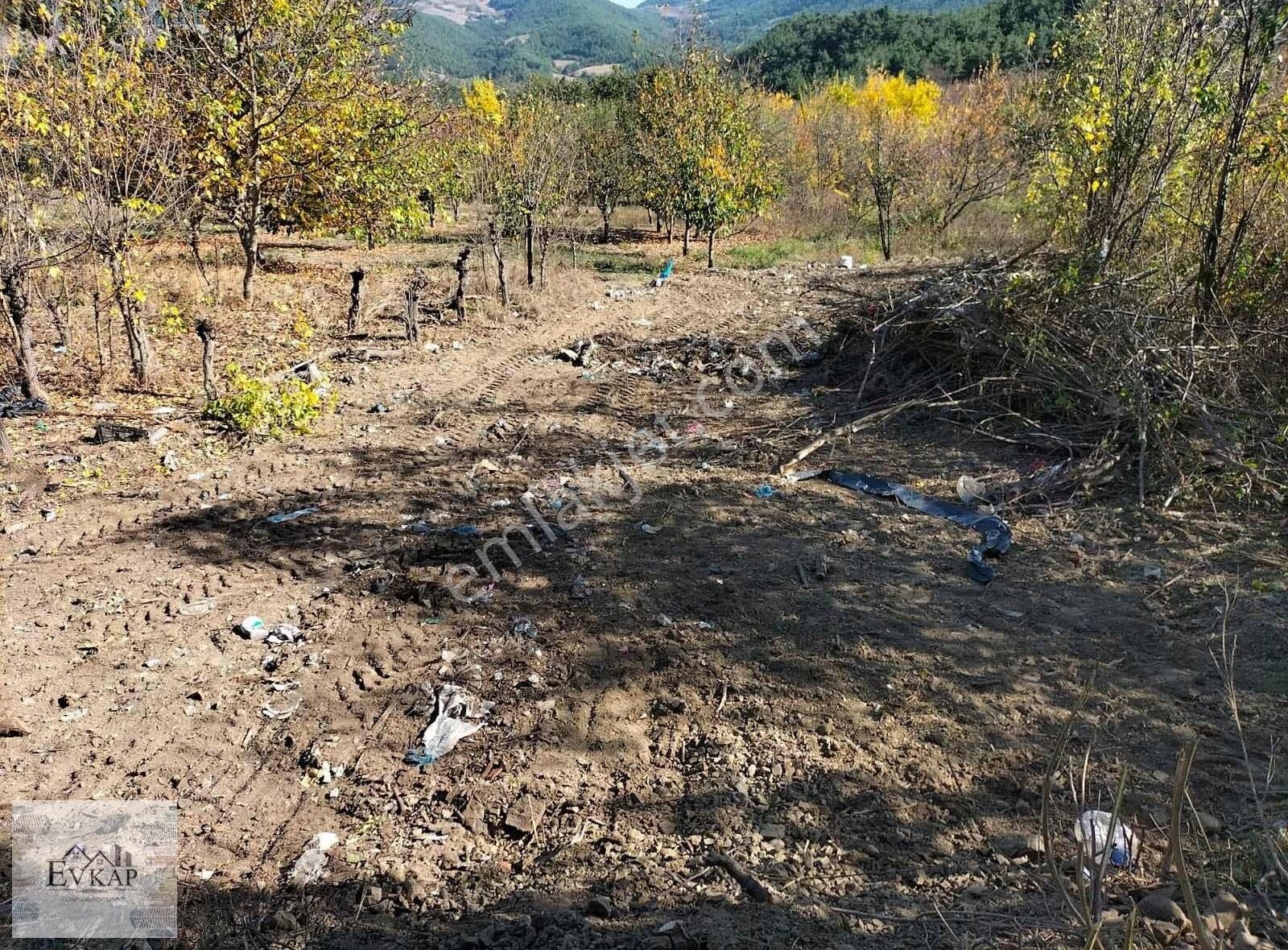 Geyve Çamlık Satılık Konut İmarlı EVKAP GAYRİMENKUL GEYVE ÇAMLIK %40 İMARLI SATILIK KÖY İÇİ ARSA