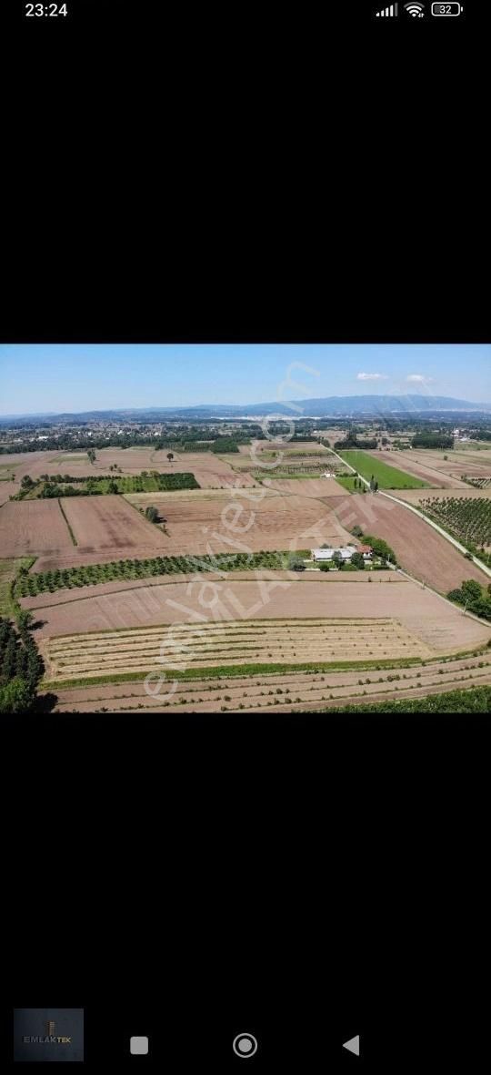 Akyazı Seyfeler Satılık Tarla Emlaktek Gayrimenkul Seyfelerde Yol Kenarı 8750 M2 Tarla