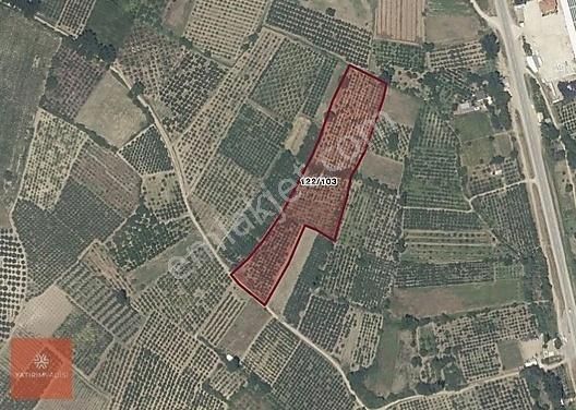 İnegöl Hamamlı'da Kadastral Yolu Tek Tapu 15.200 M2 Fırsat Arazi
