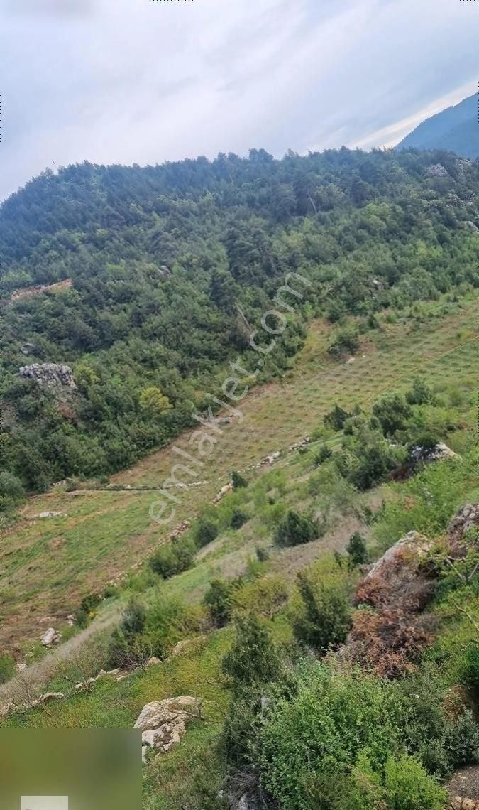 Toroslar Yeniköy Satılık Tarla ÇİMENDEN YENİKÖYDE DOĞA MANZARALI SATILIK ARSA