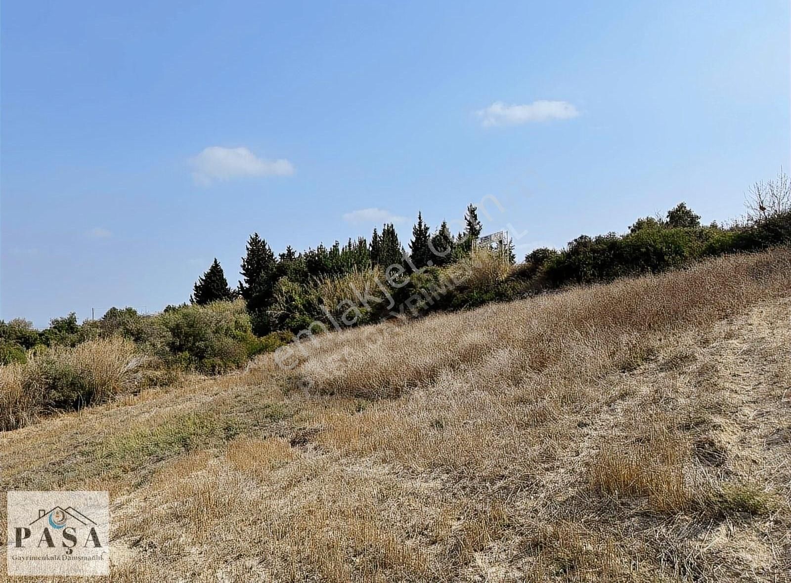 Mersin Tarsus Satılık Ticari İmarlı Kurbanlı'da Yatırımlık Arazi Paşa Gayrimenkul'den