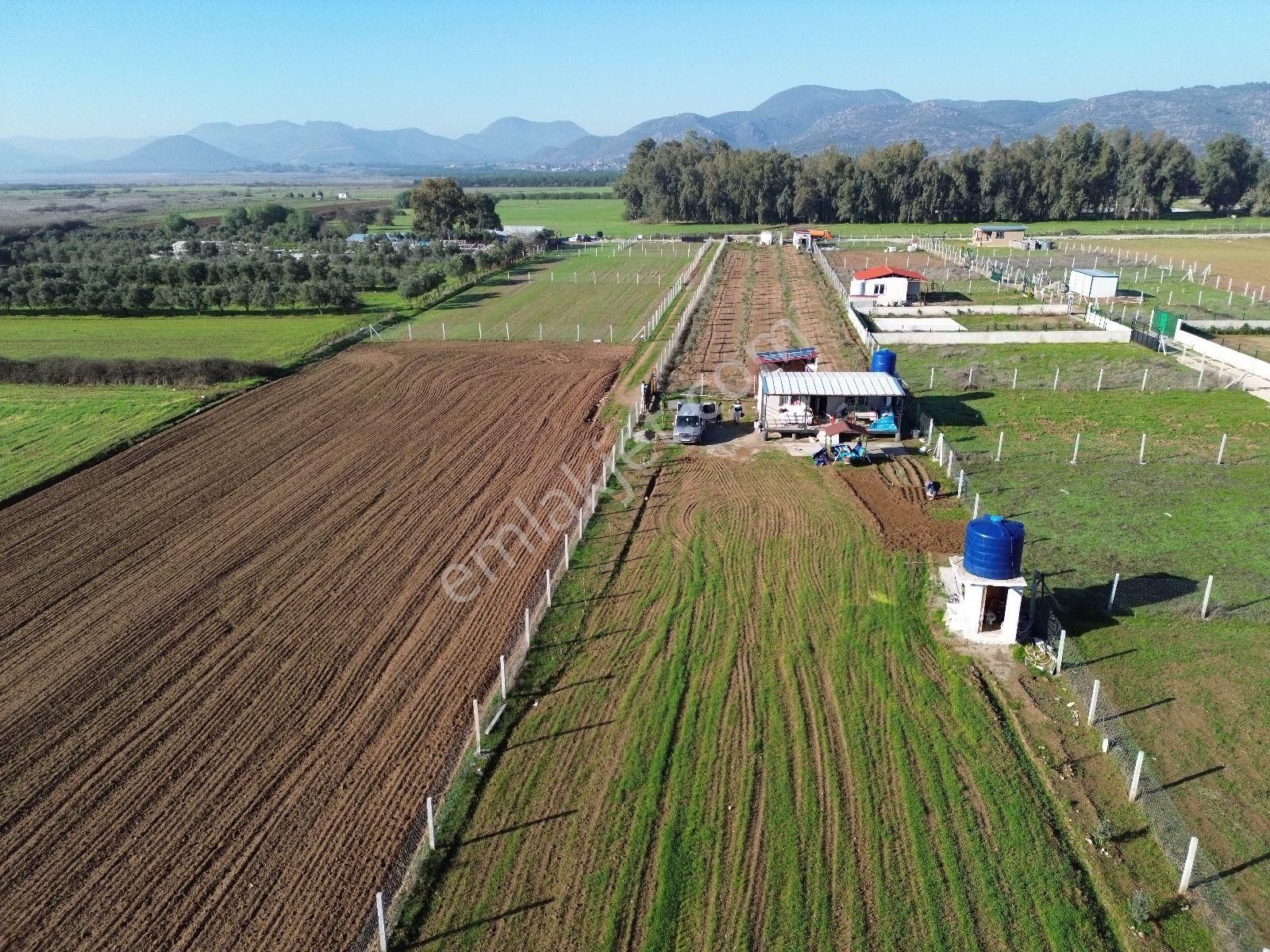 Menderes Develi Satılık Tarla  Menderes Bulgurca Kadastrol Yolu Olan Yatırım Değeri Yüksek 1405 m2 Tarla