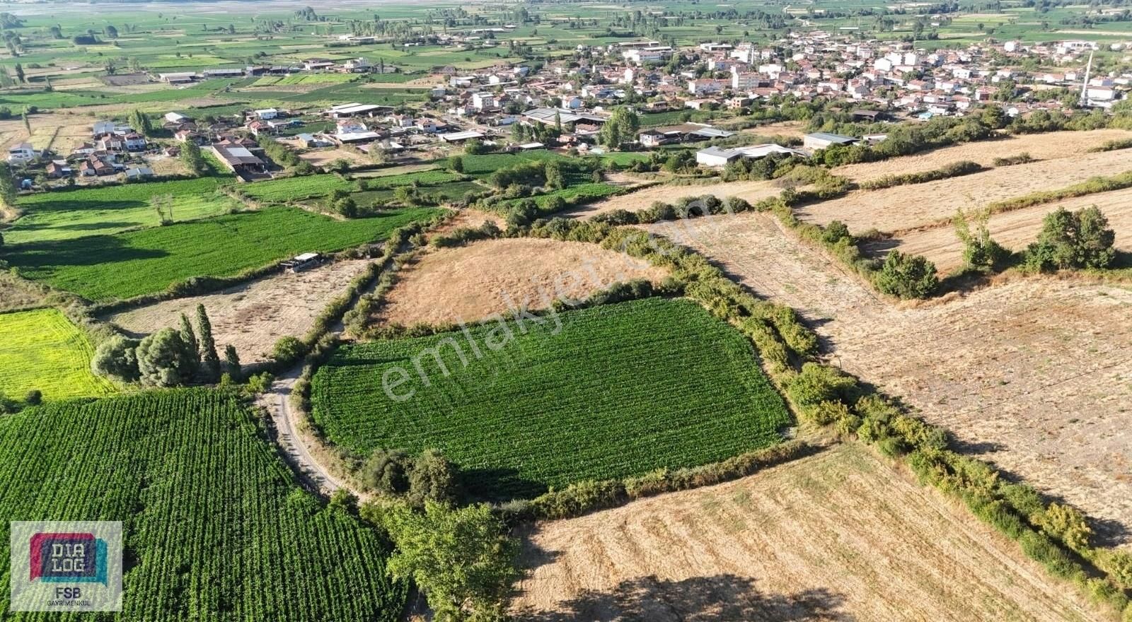 Yenice Kuzupınarı Köyü Satılık Tarla ÇANAKKALE YENİCE PAZARKÖY DE SATILIK TARLA