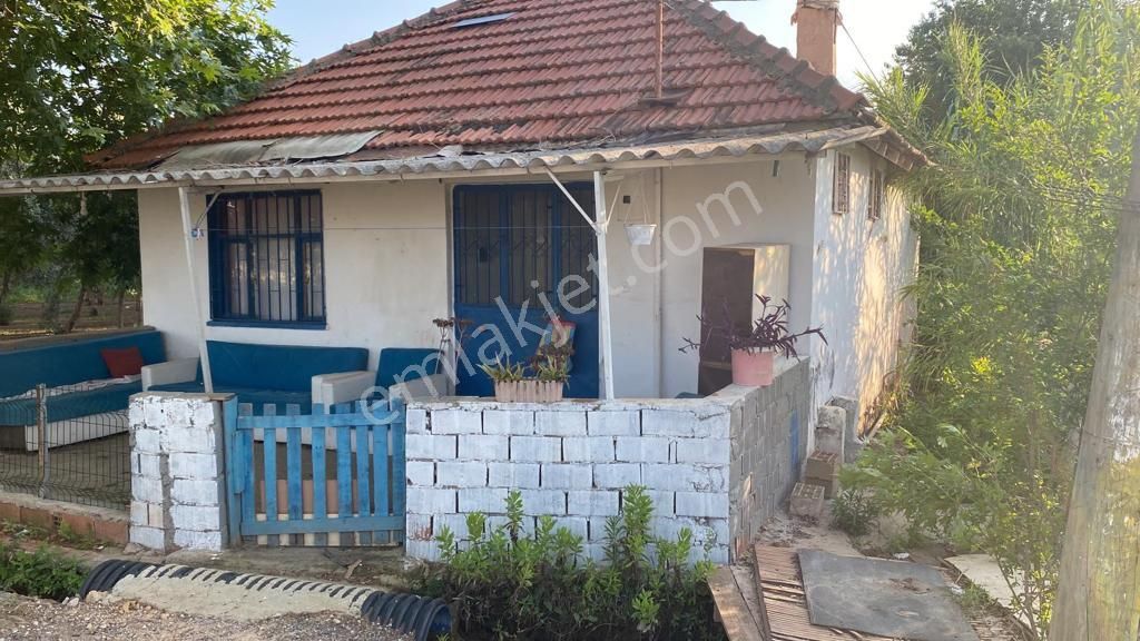 Kepez Ünsal Kiralık Köy Evi  KEPEZ ÜNSAL MAH. YENİ SANİYİİ YAKINI 8 DÖNÜM ZEYTİN BAHÇESİ İÇİNDE 1+1 KİRALIK GECEKONDU