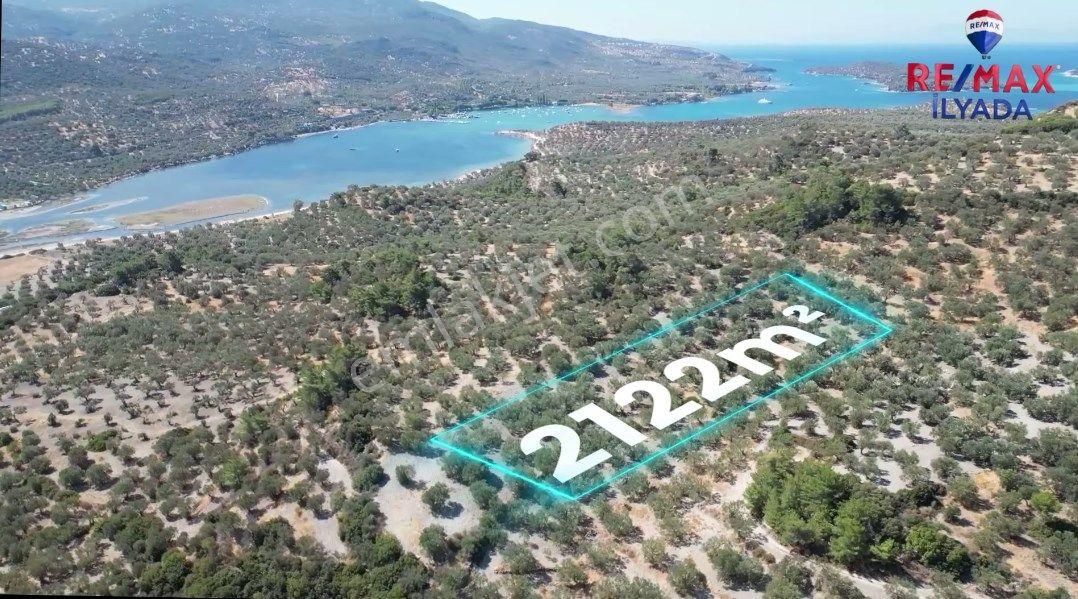 Dikili Bademli Satılık Zeytinlik İdeal Yatırım Fırsatı: Bademli Mahallesi’nde 2122 m² Zeytinlik 