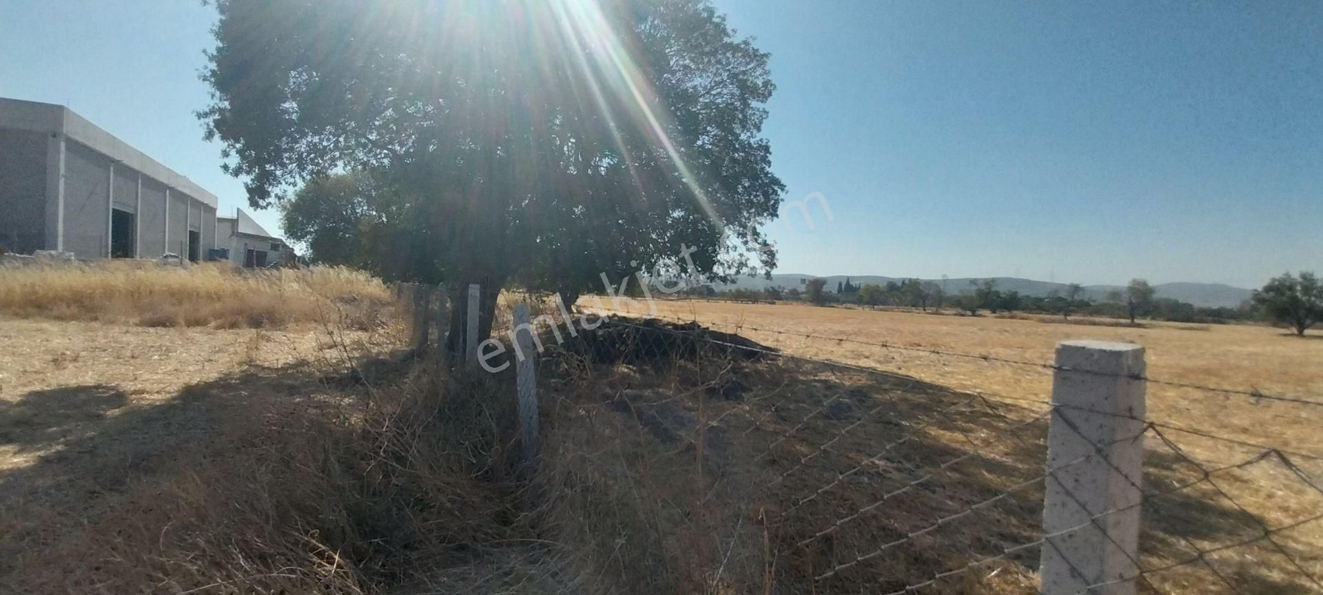 Rose Emlak'tan Satılık Sanayi İmarına Açık Arazi - Görsel 14