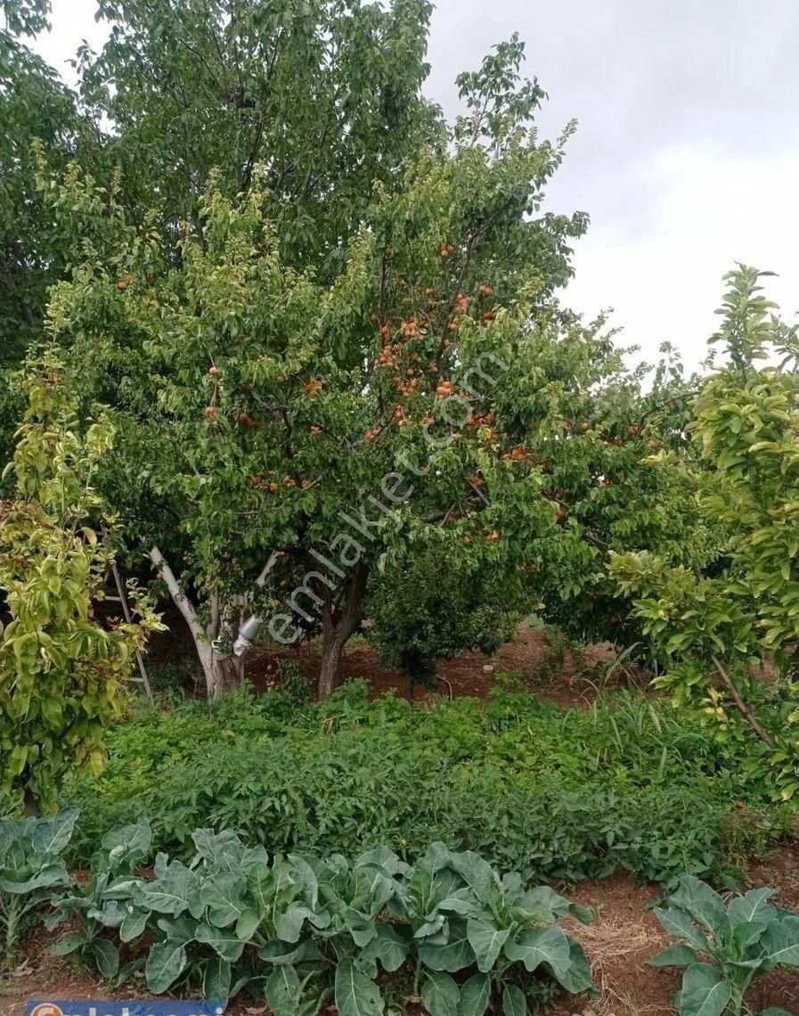 Karaman Merkez Pınarbaşı Köyü Satılık Bağ & Bahçe Pınarbaşında Güzel Konumda Hobi Bahçesi