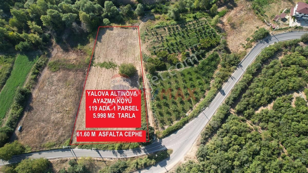 Altınova Soğuksu Köyü Satılık Tarla REMAX YALOVA'DAN ALTINOVA AYAZMA K. ASFALTA CEPHE SATILIK ARAZİ