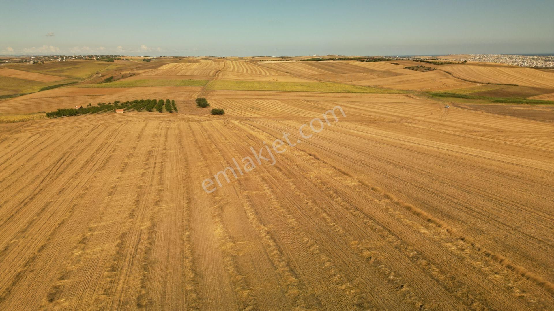 Marmaraereğlisi Çeşmeli Satılık Tarla Tekirdağ Marmaraereğlisi Çeşmeli 'de 182 M² Şahane Fiyata Tarla