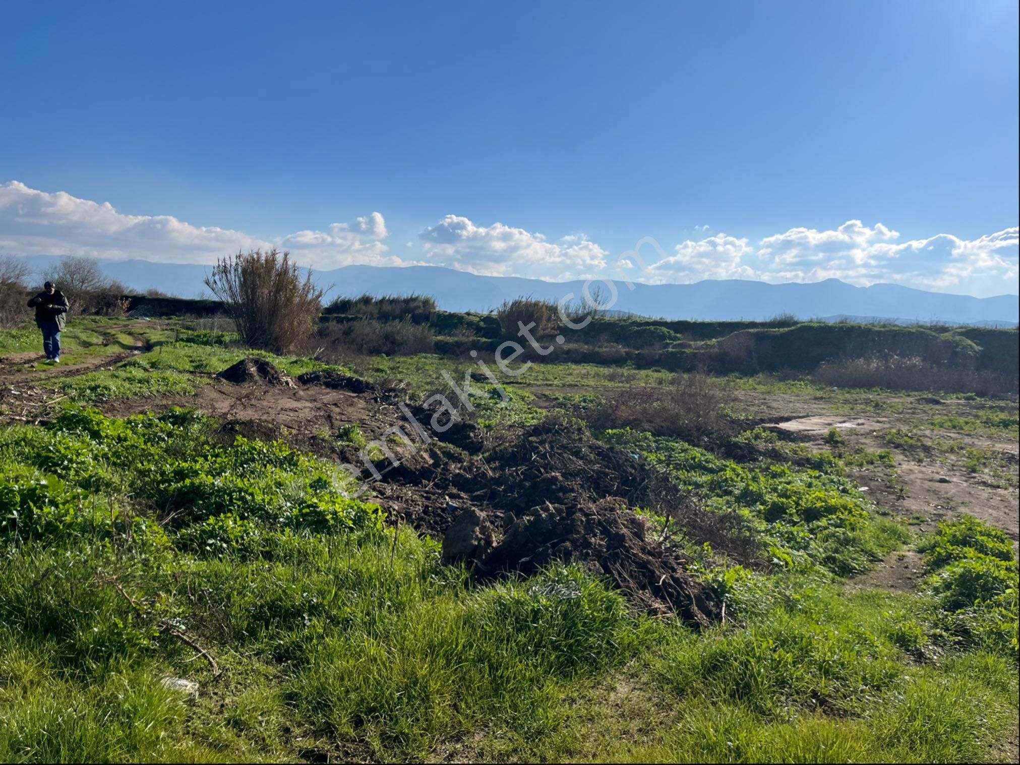 İzmir Bayındır Satılık Tarla - Görsel 4