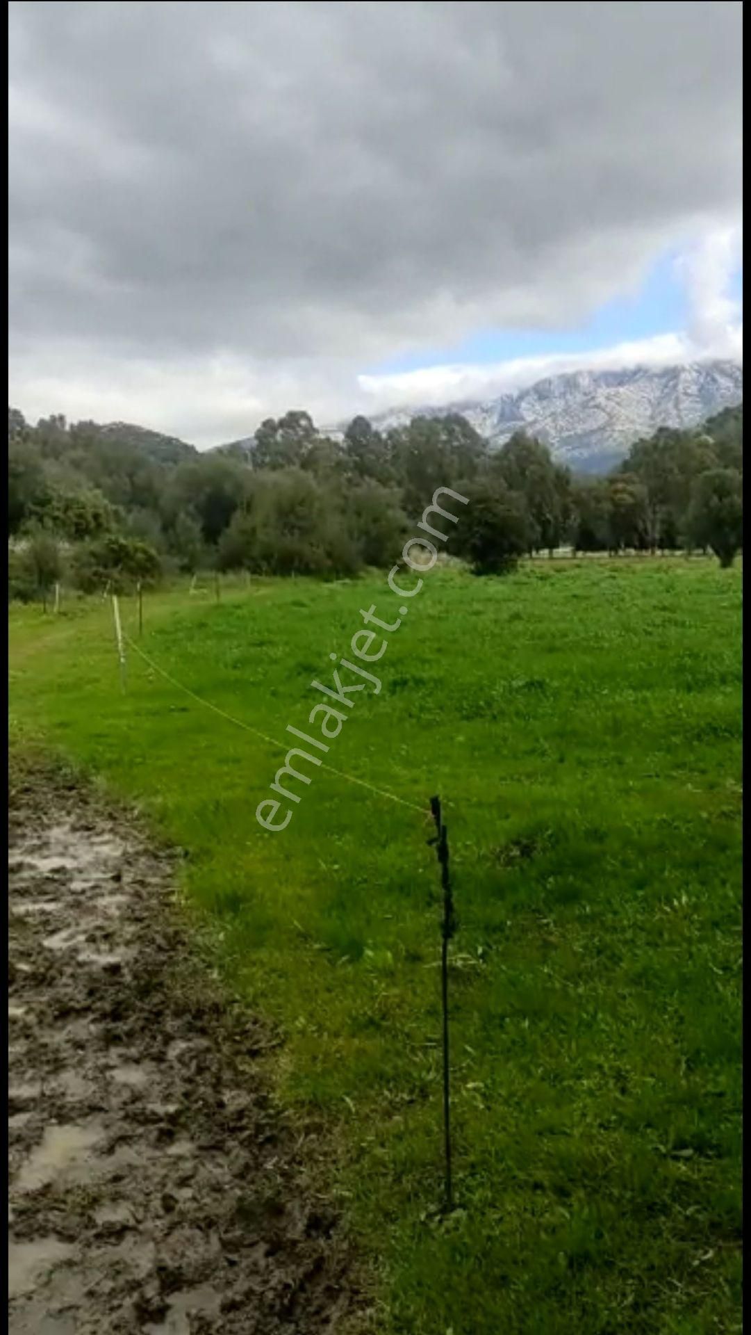 Karaburun Küçükbahçe Satılık Konut İmarlı  Karaburun Küçükbahçe'de Acil Satılık Arsa