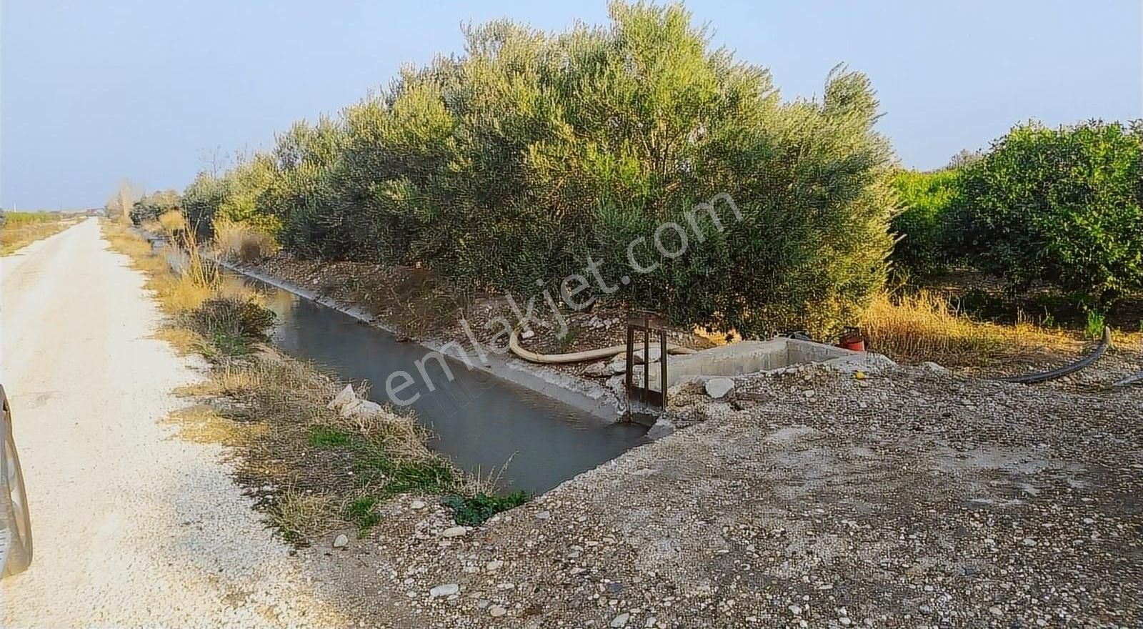 Anıt Emlaktan Mersin Silifke Taşucun'da Satılık Limon Tarlası - Görsel 2