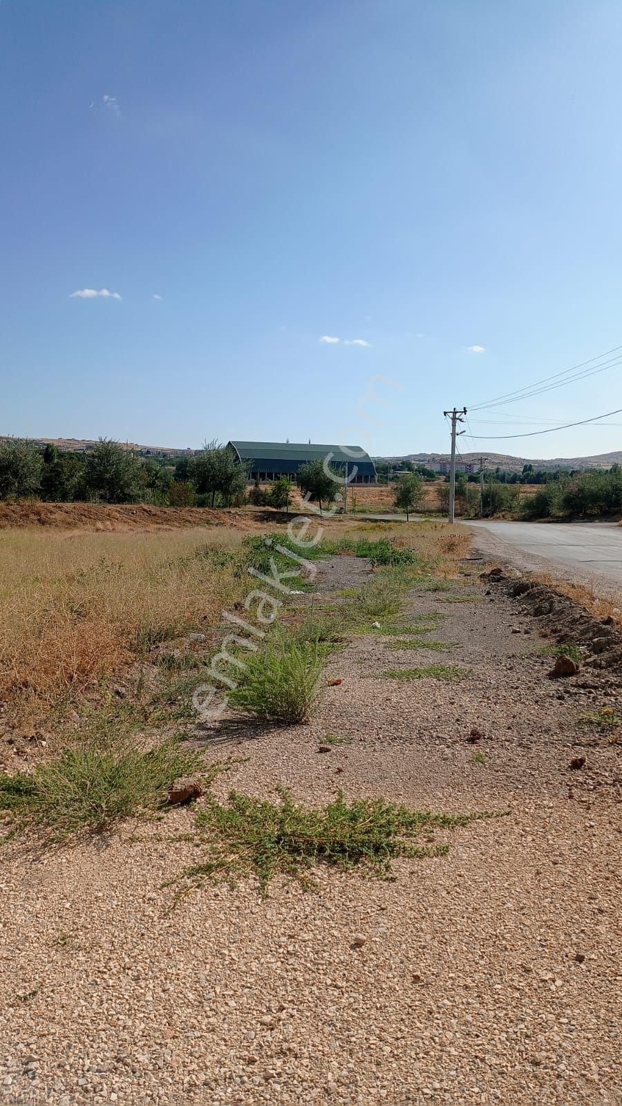 Elazığ Merkez Hicret Satılık Müstakil Ev hicret mh sinde satılık 2 katlı bahceli bina