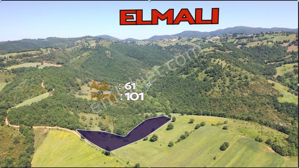 Biga Elmalı Köyü Satılık Tarla ÇANAKKALE BİGA ELMALI 10.000M2 SATILIK FIRSAT TARLA