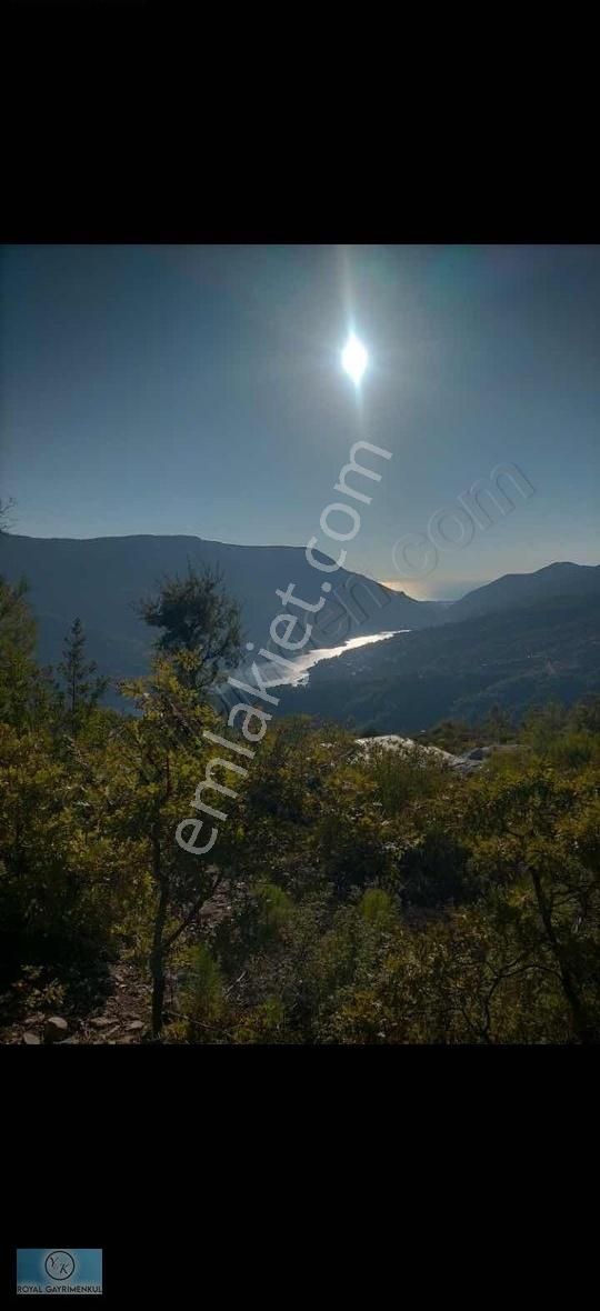 Alanya Üzümlü Satılık Tarla ALANYA ÜZÜMLÜ MEKİNDE SATILIK KUPON TARLA