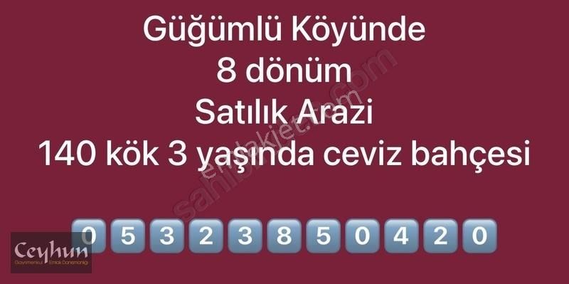 Tokat Merkez Güğünlü Köyü (Merkez) Satılık Tarla 140 KÖK 3 YAŞINDA CEVİZİ BULUNAN MÜSTAKİL PARSEL 8 DÖNÜM SATILIK