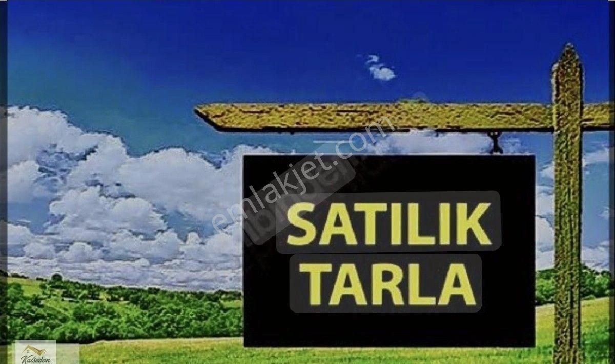 Artuklu Nur Satılık Tarla Mardin Merkez Artuklu SATİLİK TARLA