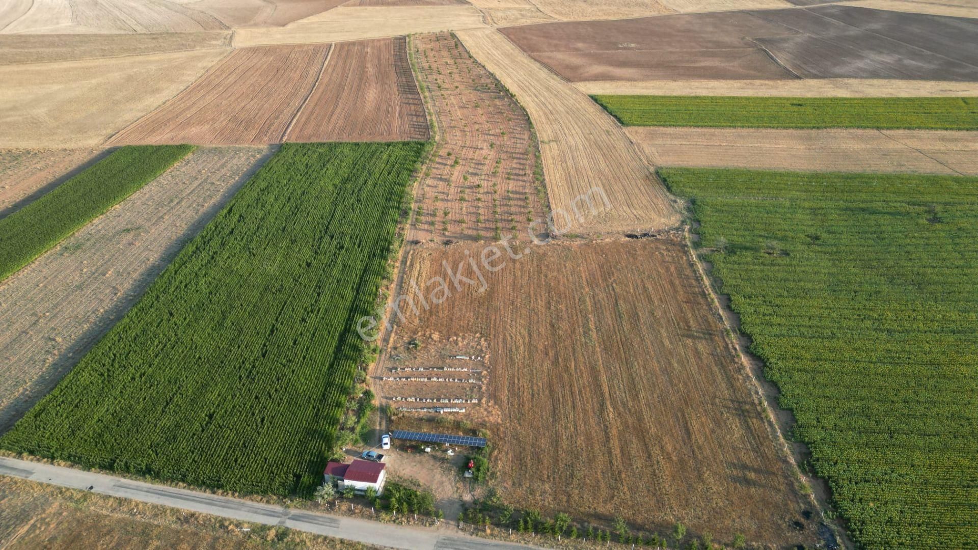 Emirdağ Aşağıpiribeyli Köyü (Karşıyaka) Satılık Bağ & Bahçe AKÇAY EMLAK'TAN EMİRDAĞ PİRİBEYLİ'DE DEVREN SATILIK BADEMLİK